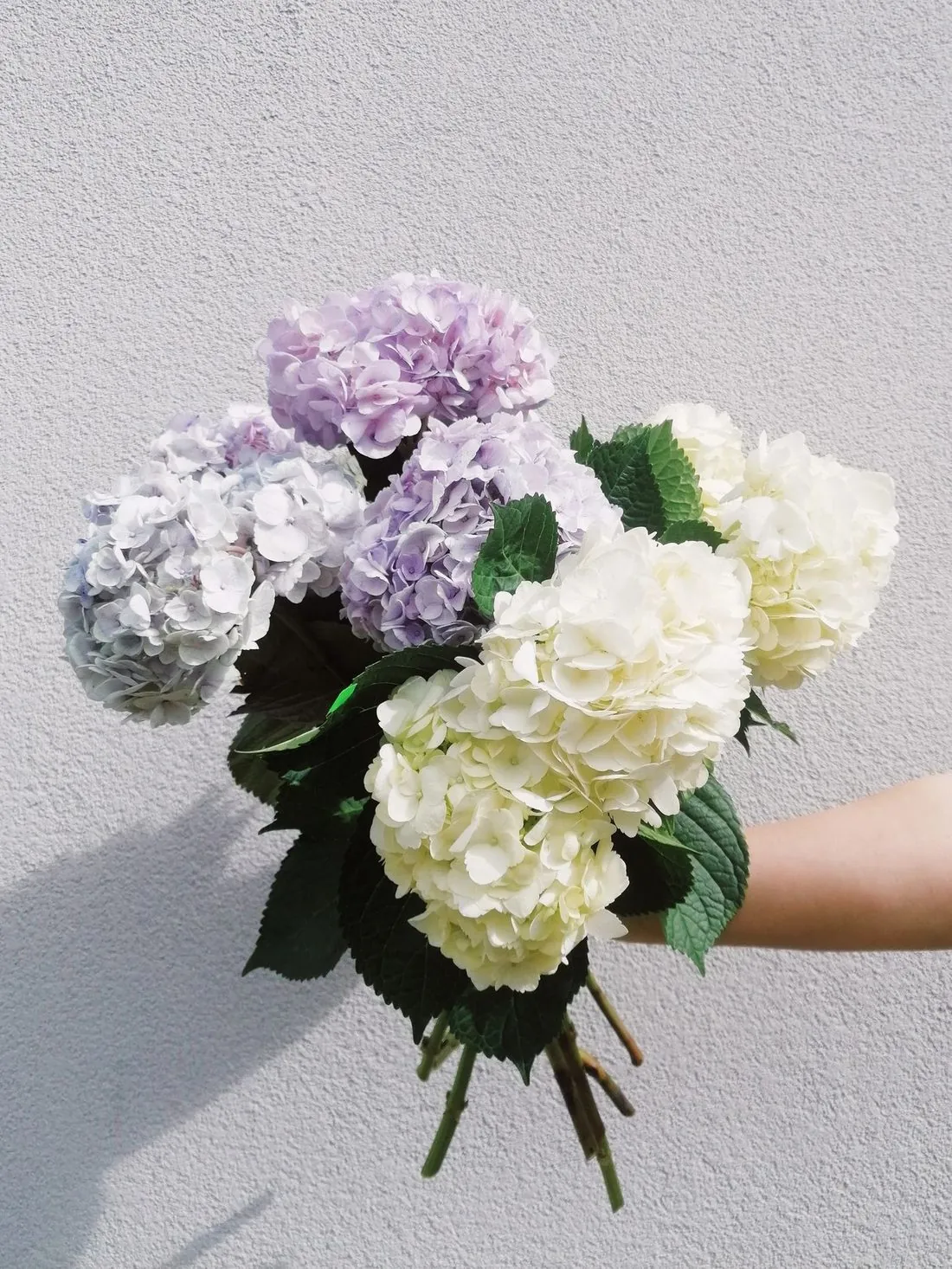 Buchet „Anastasia" cu hortensie albă și lila