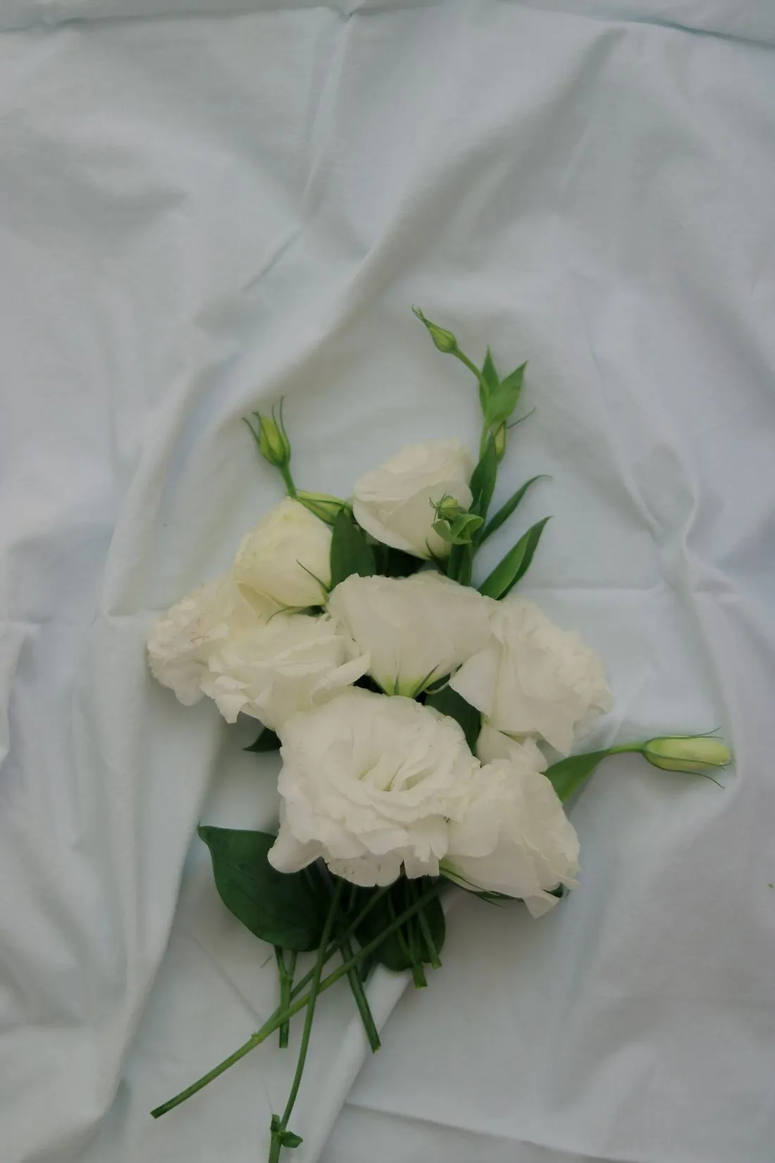 Buchet „Whisper" cu lisianthus alb